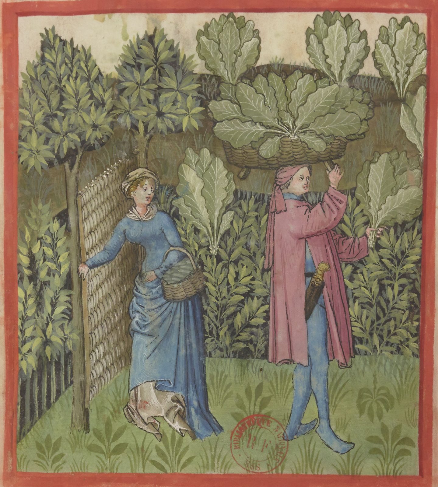 A page from a fifteenth-century Tacuinum sanitatis: in a walled garden, a man in a rose-coloured coat lifts a basket heaped with cabbages onto his head while a woman in blue holds the gate